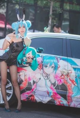 Hatsune Miku Bunny Girl@Green Eggplant Nasu (Beijing Wushan Five Elements Comic Exhibition) (9P)