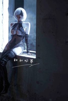 NieR: Automata 2b fan cheongsam@秋和i(9P)