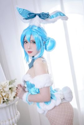 Hatsune Miku · Bunny Girl@Yangda Zhenren_ (9P)