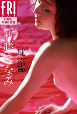 Manami Shindo Himitsu vol.1 Gesamtausgabe (59P)