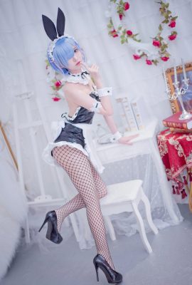 Online-Sammlungsserie) Welfare Princess Eel Fei'er „Rem“ VIP Welfare Post (22P)