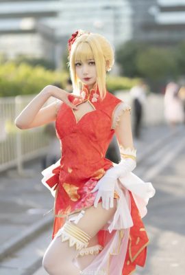 Schicksal/Großer Orden Nero Claudius Fan Cheongsam@Fengjiangjiangv (9P)