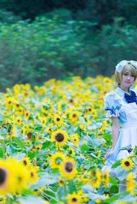 Shimada Oguma-LIEBE LVE!COS Koizumi Hanayo