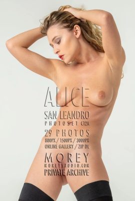 (Morey Studio)17. September 2024 – Alice – C12A (29P)