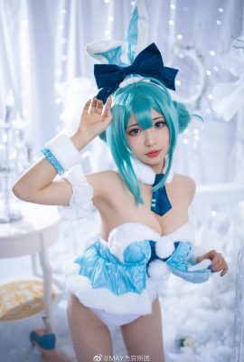 Hatsune Miku Bunny Girl.Ver White Rabbit MIKU @MAY Gefangen in Armut (9P)