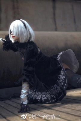 NieR: Automata 2B @小小少宝(9P)