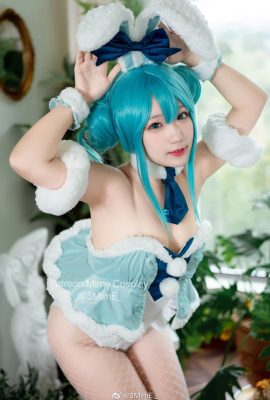 Hatsune Miku Weißes Hasenmädchen@3MimE_ (9P)