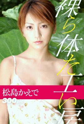 Kaede Matsushima (Fotobuch) Naked Body Workshop (205P)