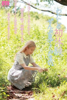 Mori Anohana – ein Mädchen, das angefangen hat, weil sie sich verändern wollte (9P)