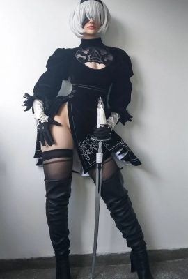 NieR: Automata 2B Epicintegf Cosplay Yorha 2b (11P)