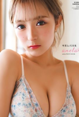 (SEINA Shengcai) Bikini Snow Breast Liberation … Japanische Intenutzer lobten sie (29P)