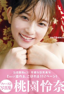 Momozono Reina (Fotobuch) Ayun SEXY Schauspielerin Fotobuch moMoment (555P)